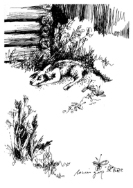 Л. Иванов "Леший"