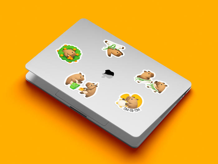 Новогодний стикерпак для школы капоэйры