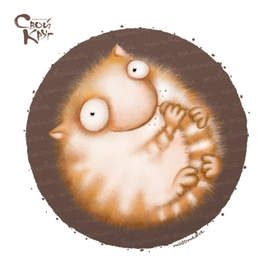 Круглый кот