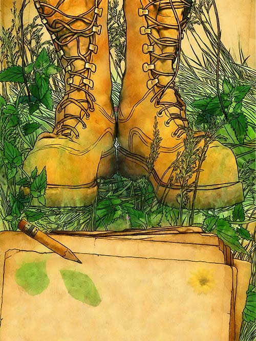 Дансель и росинки 5