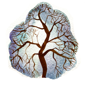 Серия "Мои фантастические деревья"