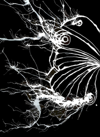 Что во мне 1