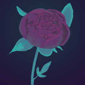 Пион из глубины