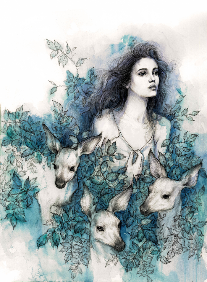 Оленевый вечер