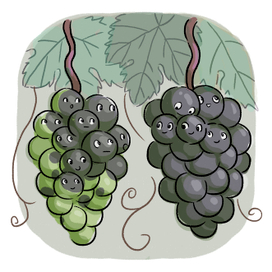 виноград
