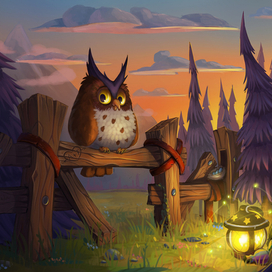 Один день из жизни совы