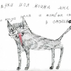 (без названия)