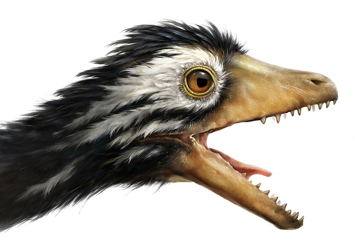 Археоптерикс