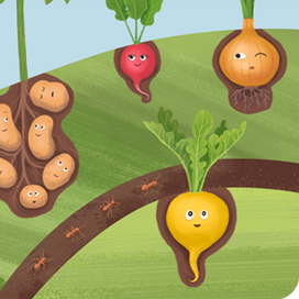 Иллюстрация для пазла "Что растёт под землёй?"