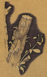 дачные зарисовки