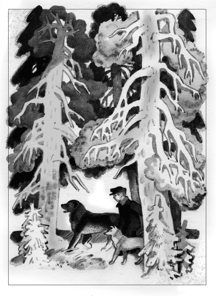 Из "Мальчик и две собаки"