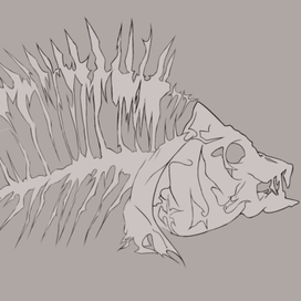 Скелет рыбы