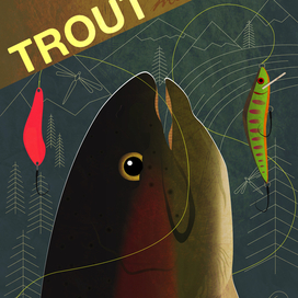 Trout mania