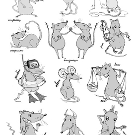 Гороскоп на год Крысы