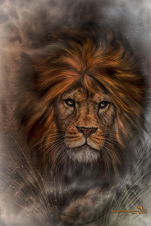 Последнее утро буйвола...