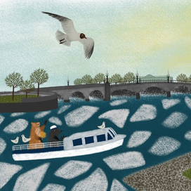 У Троицкого моста