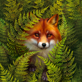 Тетрадная обложка Лиса