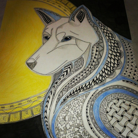 Полнолуние