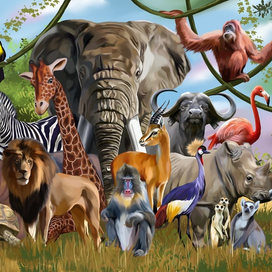 Животные африки