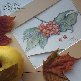 Рябина-Калина