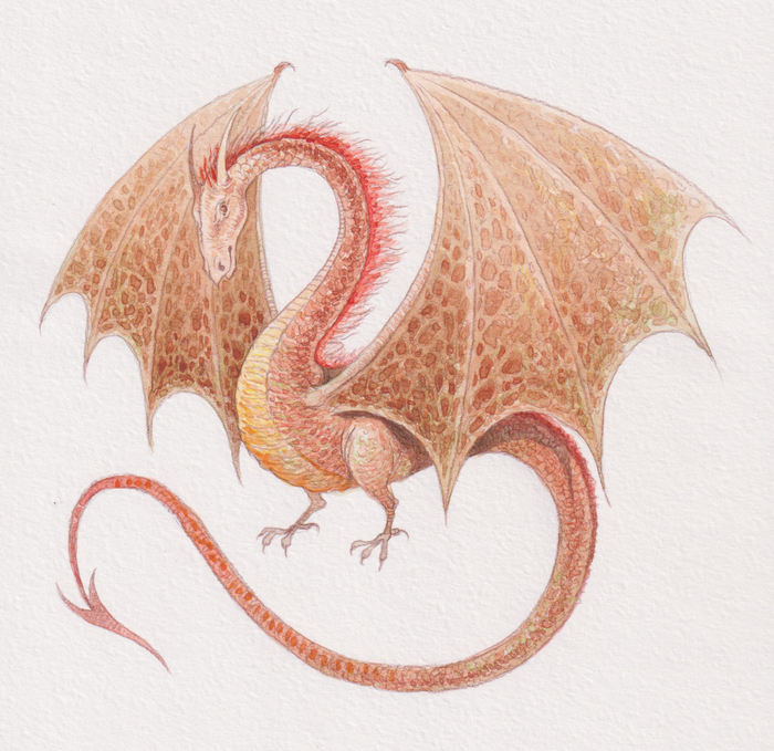Дракон