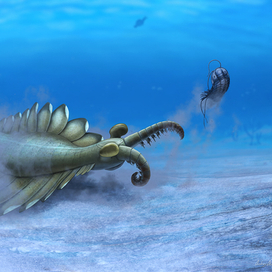 Аномалокарис