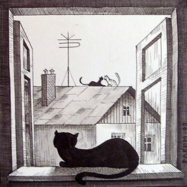 Кошачья жизнь потемки