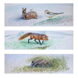 кп(пу,ли,стр)