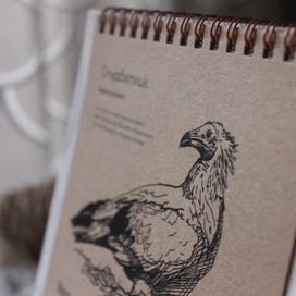 Настольный календарь "Редкие виды"