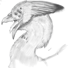 Многоглазый кривоклюв