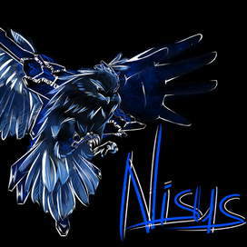 Логотип стримера "Nisus"