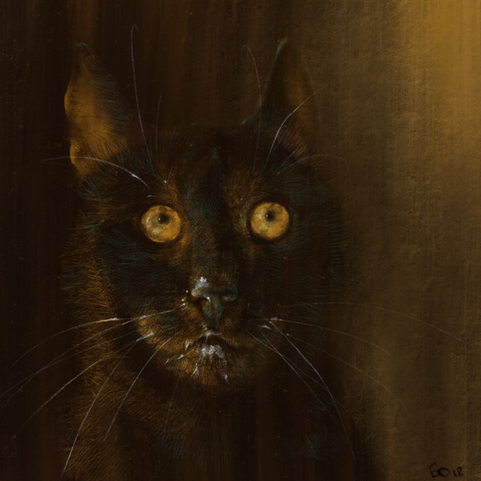 Таинственный незнакомец 