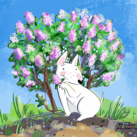 Сирень весна бультерьер