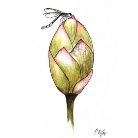 Бутон лотоса