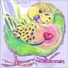 мой попугайчик