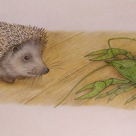 Ты кто такой?