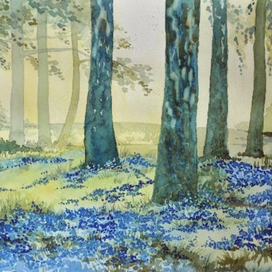 Поляна в лесу.