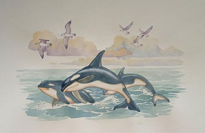 Касатки. К рассказам Сергеева