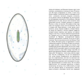 Бэккет "Мэлон умирает" - карандаш