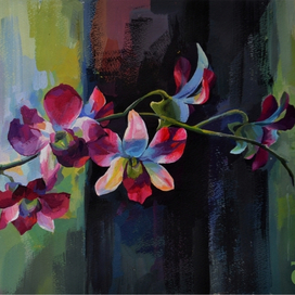 Оридея блики света