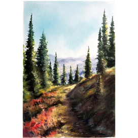 Еловая тропа