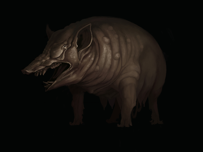 Chlomoside: pig