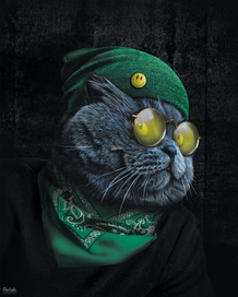 Мои иллюстрации