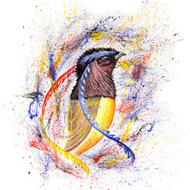 Принт - райская птица