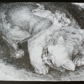 детство Наташи