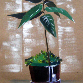 Росток в горшке