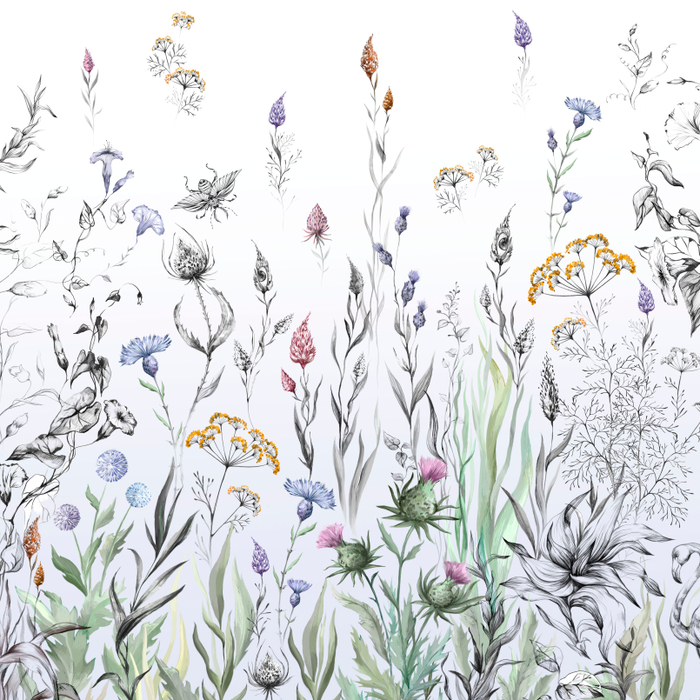 Поле волшебных цветов