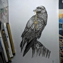 Ворон-хранитель