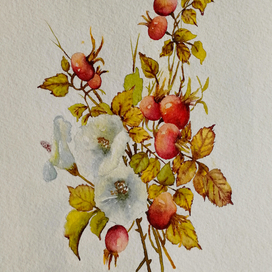 Веточки шиповника