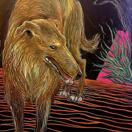 Русская борзая.